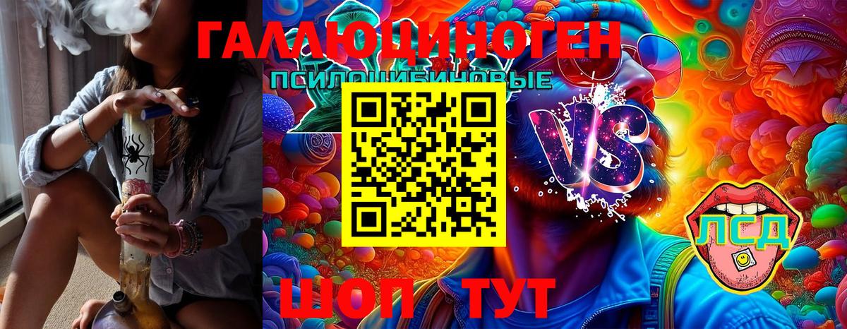 Псилоцибиновые грибы Cubensis  Вход с VPN  Звенигород 